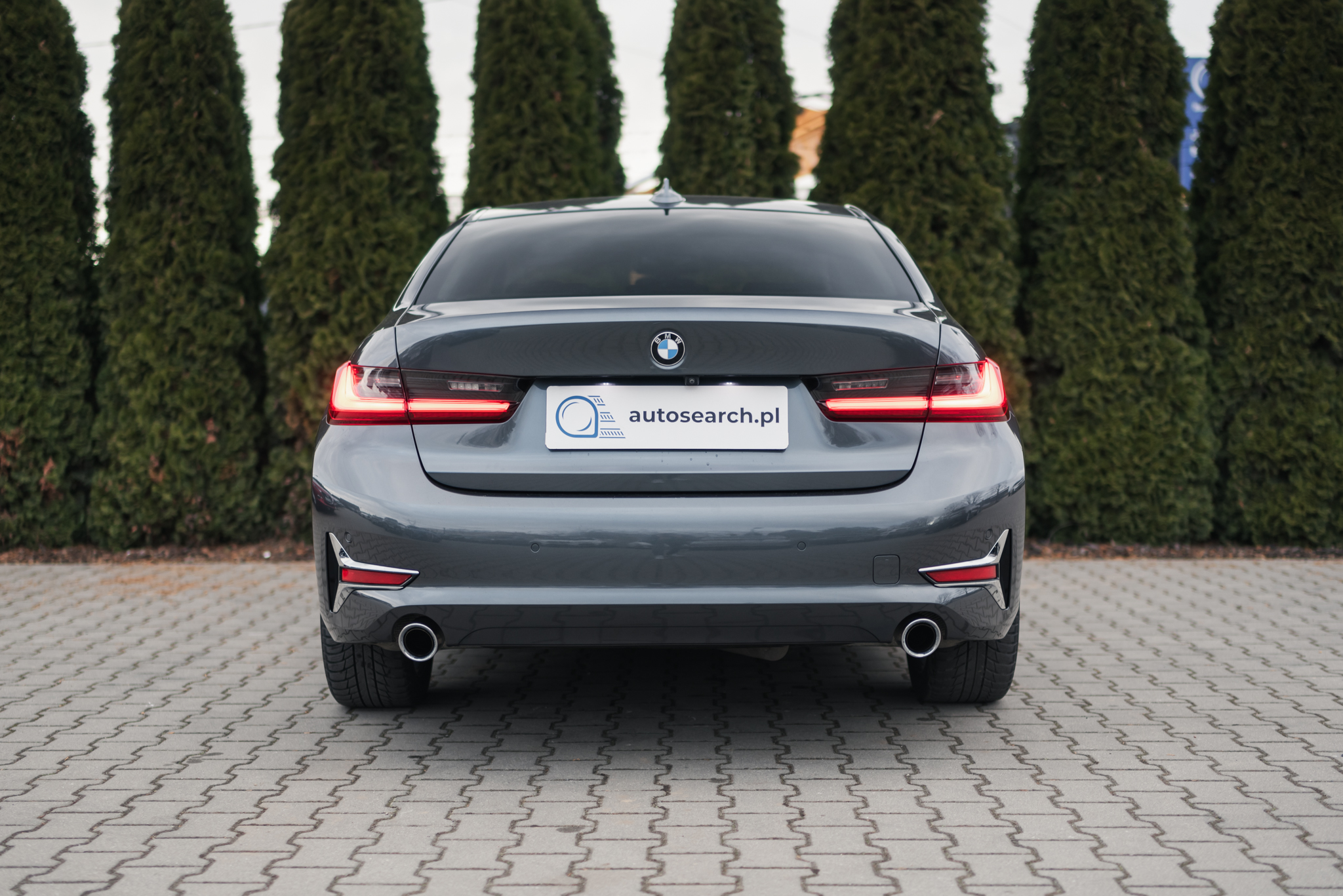 BMW 320d xDrive Luxury Line szary tył