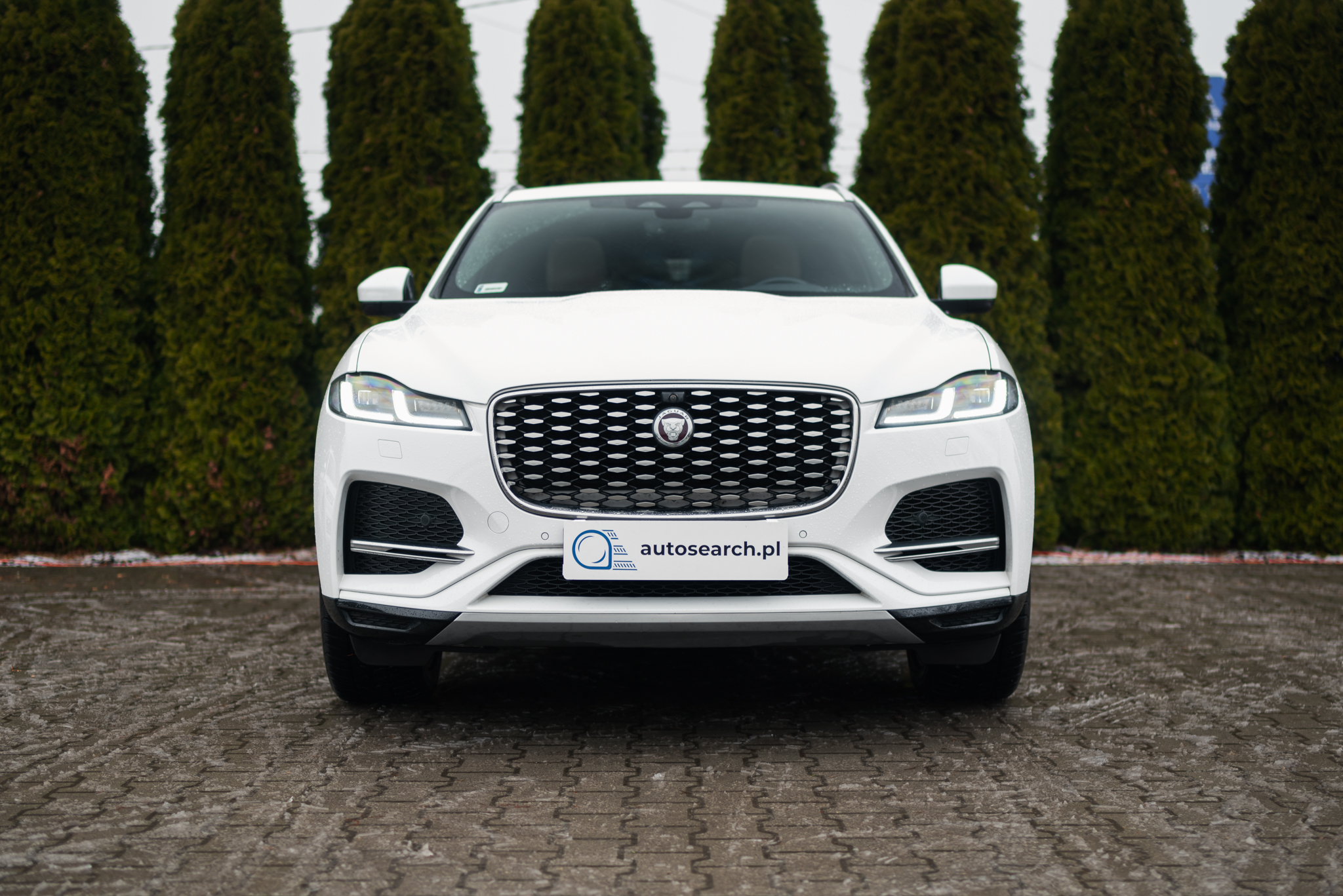jaguar-f-pace-d300-awd-fuji-white-2021-2