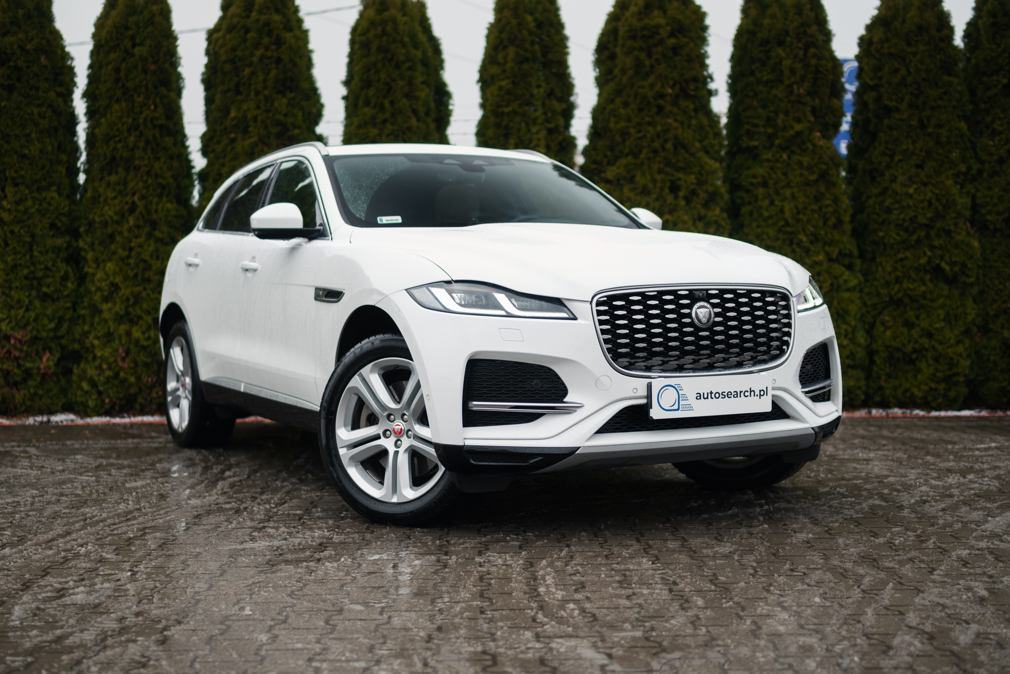 jaguar-f-pace-d300-awd-fuji-white-2021-3