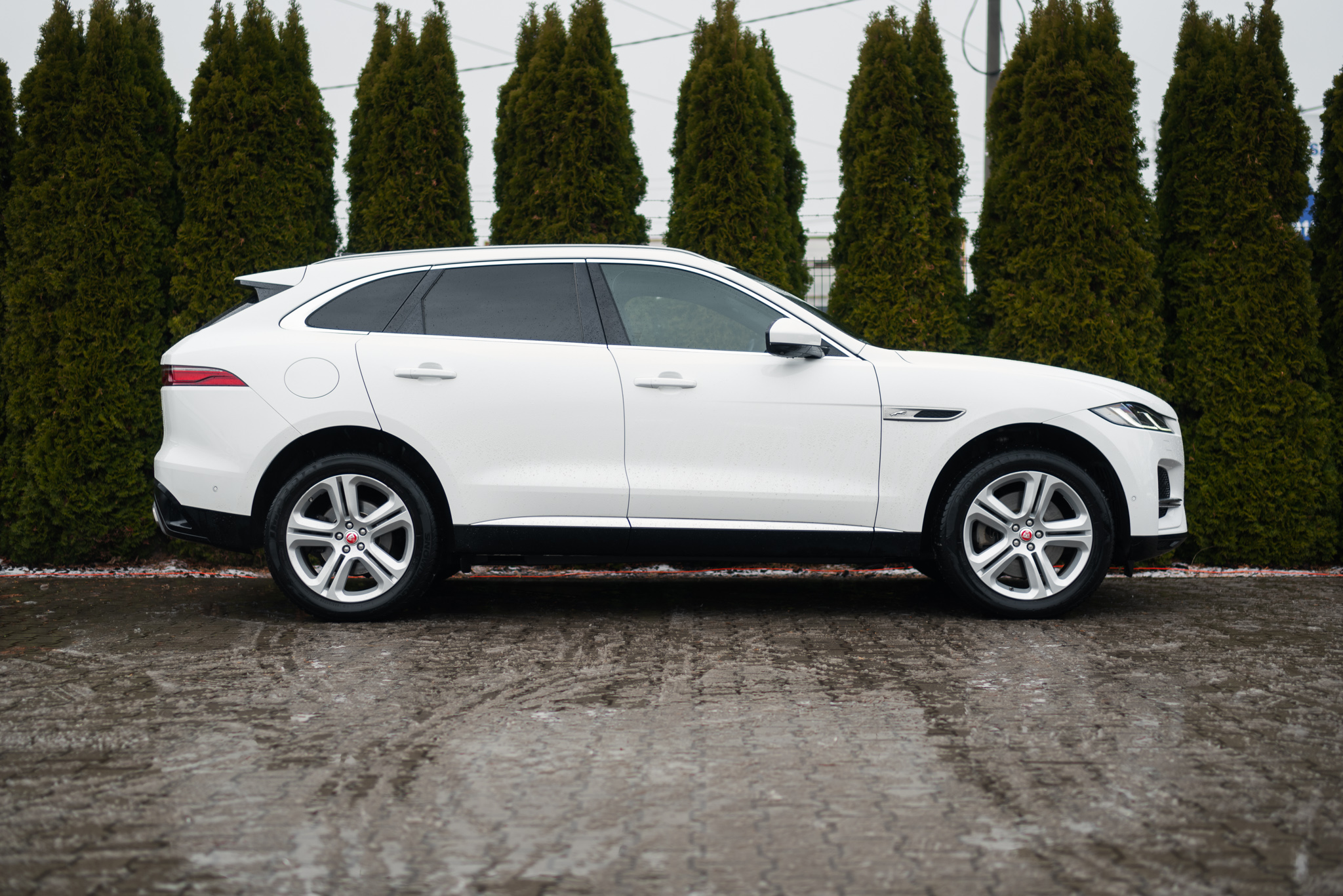 jaguar-f-pace-d300-awd-fuji-white-2021-8