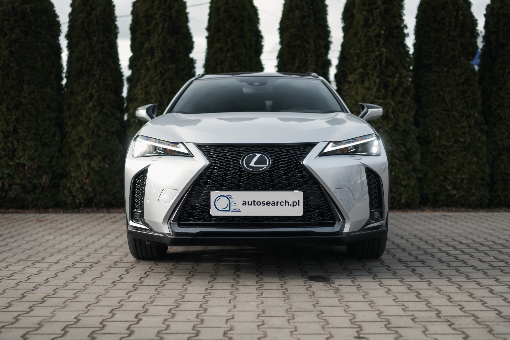 lexus-ux-250h-f-sport-silver-2