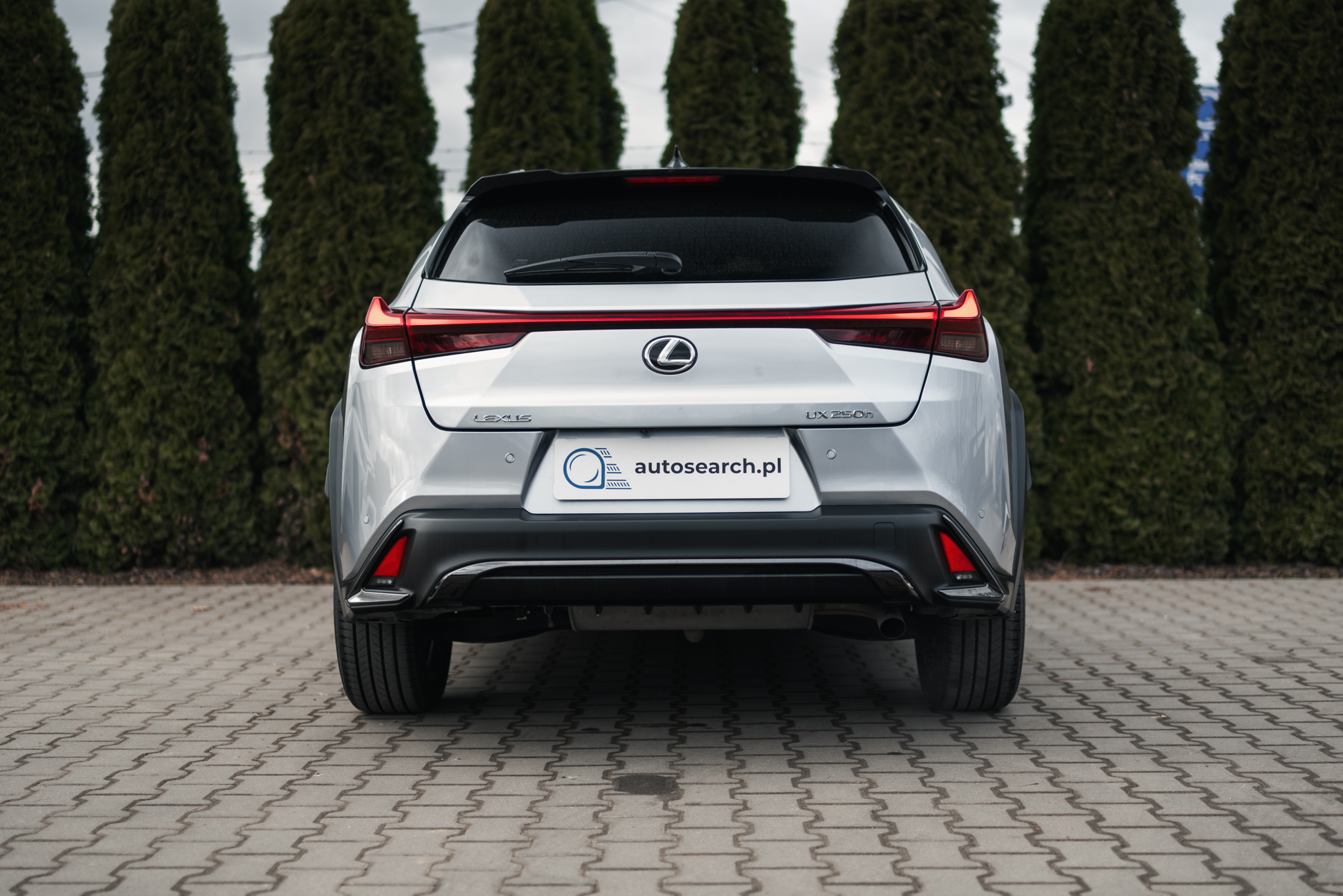lexus-ux-250h-f-sport-silver-5