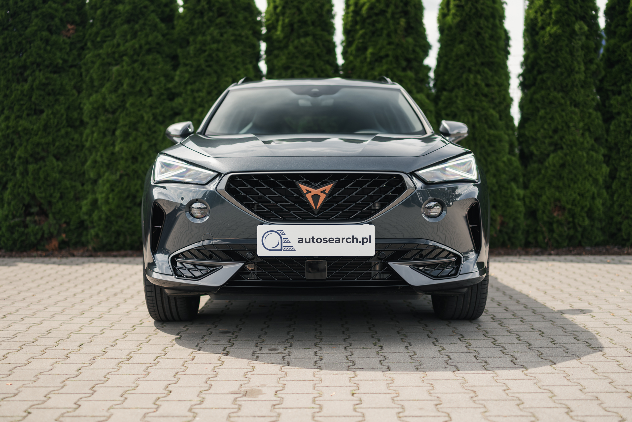 cupra-formentor-2-0-tsi-dsg-magnetic-tech-2024-2