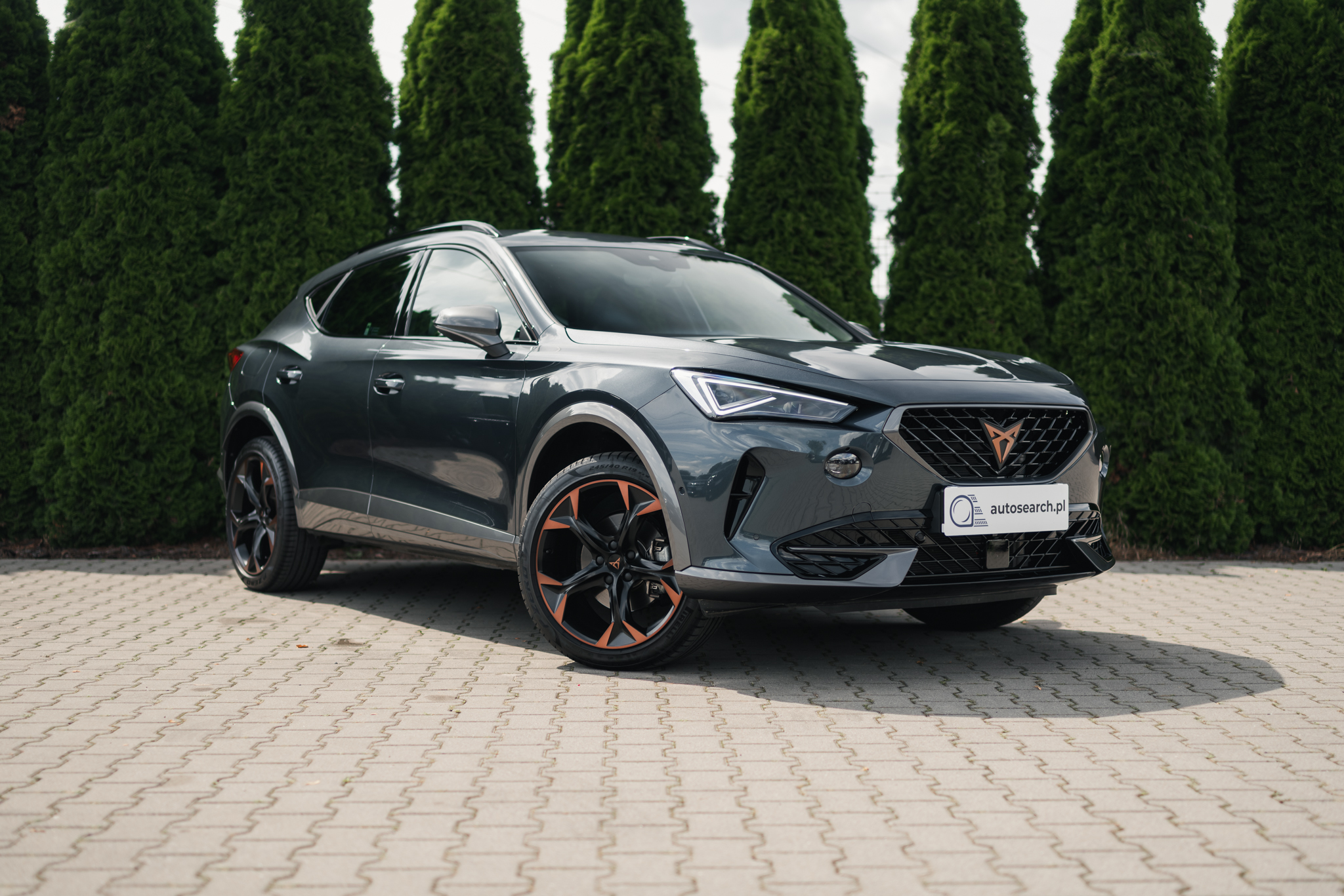 cupra-formentor-2-0-tsi-dsg-magnetic-tech-2024-3