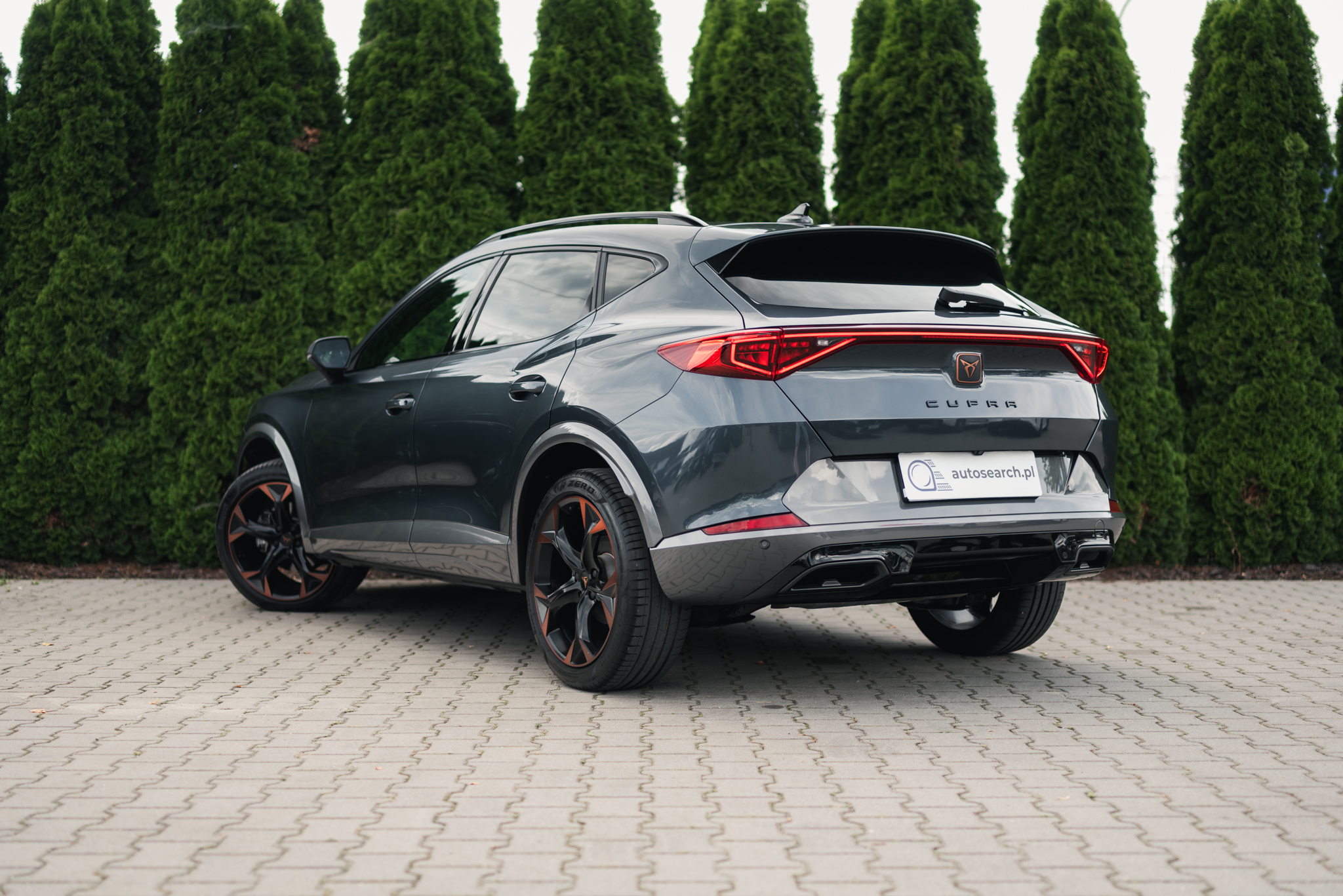 cupra-formentor-2-0-tsi-dsg-magnetic-tech-2024-6