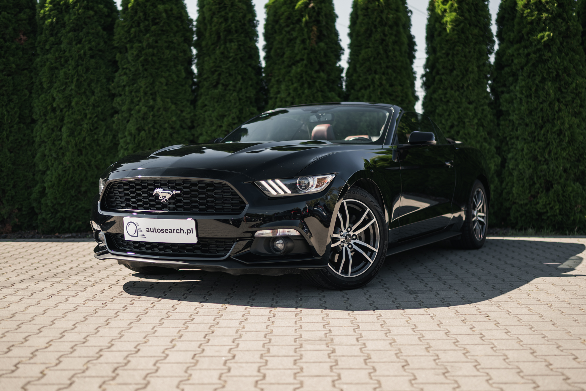 ford-mustang-convertible-2-3-ecoboost-black-2017-1