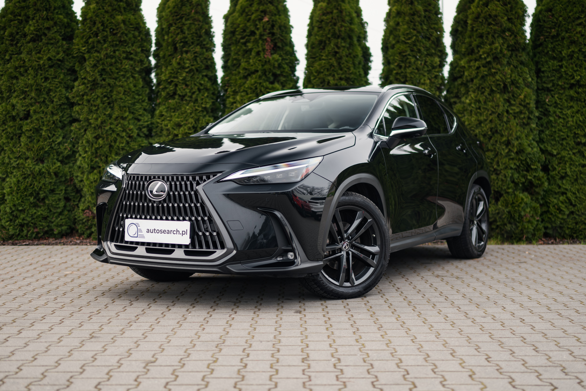 lexus-nx-350h-graphite-black-2022-1