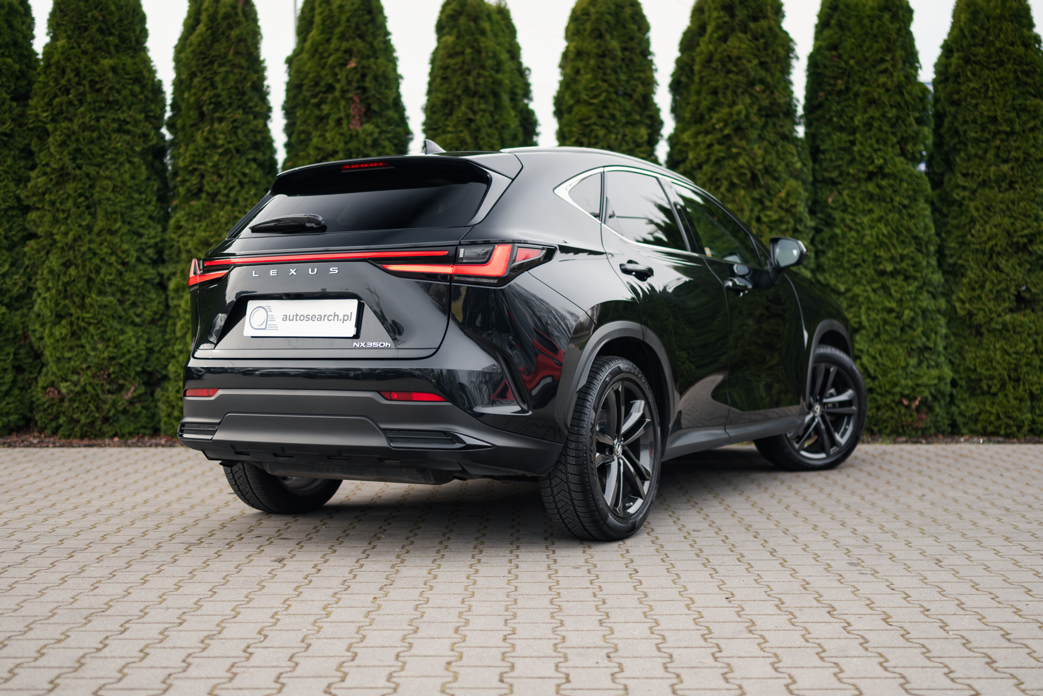lexus-nx-350h-graphite-black-2022-4