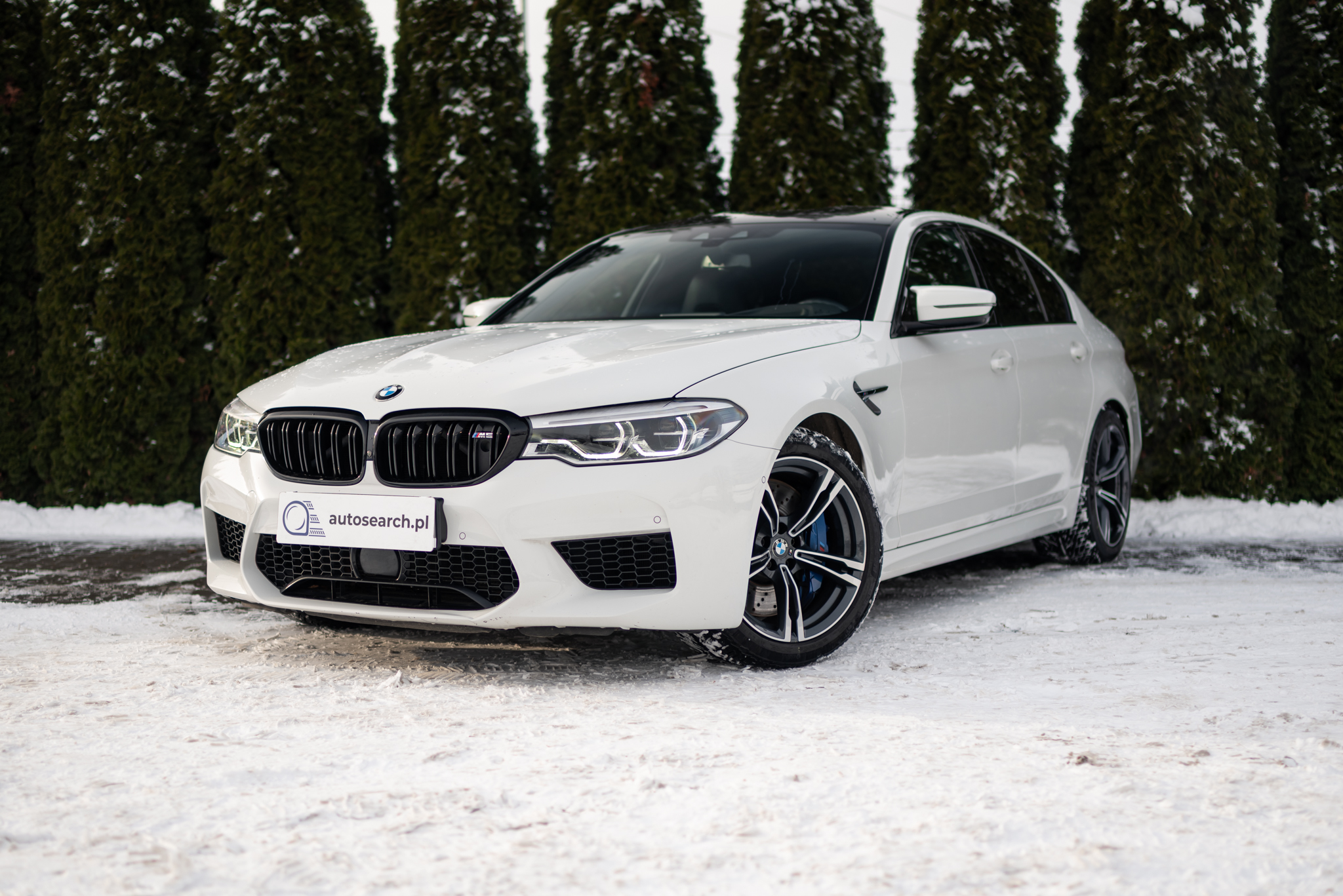 bmw-m5-alpine-white-2019-1