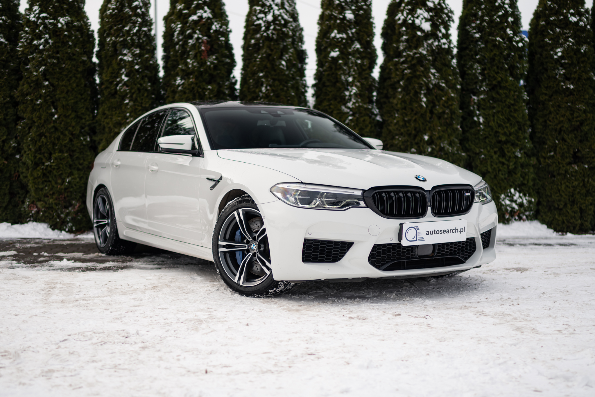 bmw-m5-alpine-white-2019-3