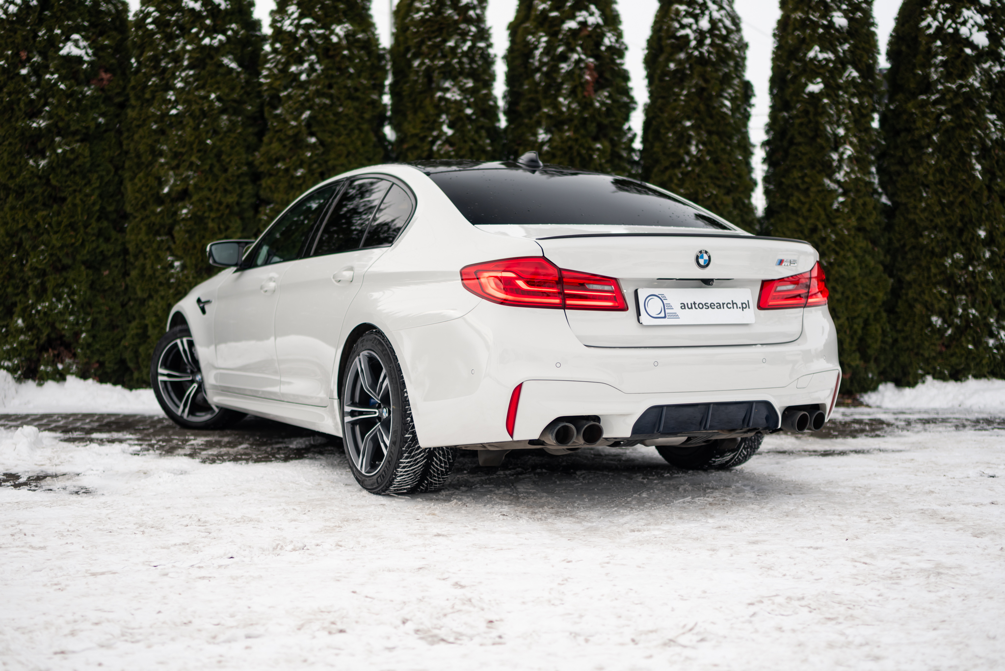 bmw-m5-alpine-white-2019-6