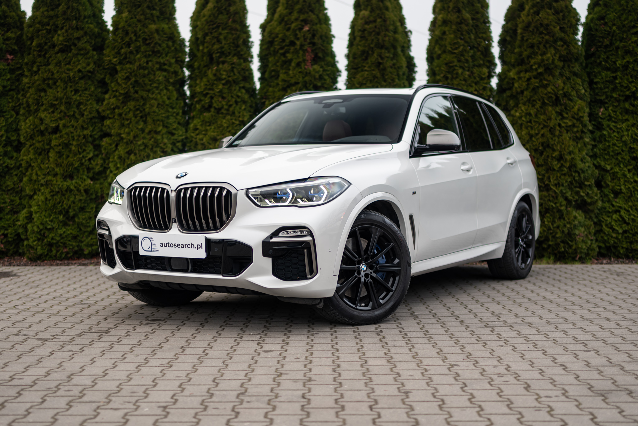 bmw-x5-m50d-mineral-white-2019-1