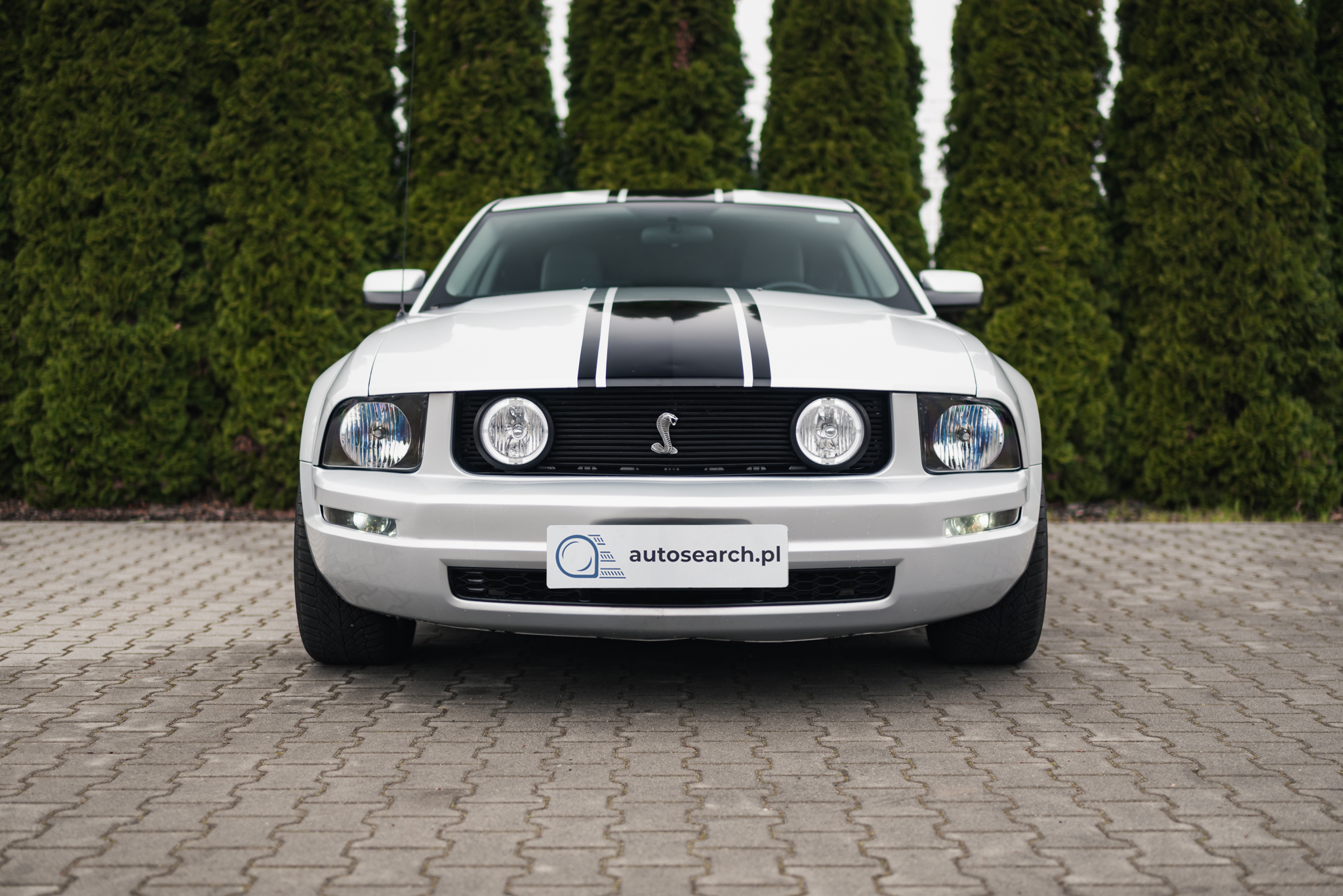 Sitemapcdatahttpswudinf Inetcom2010 Ford Mustang 4 0 V6null