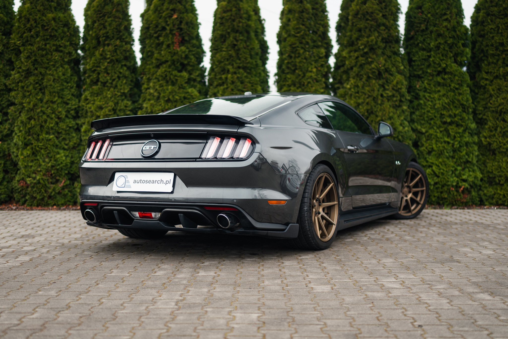 ford-mustang-gt-mt-grey-2017-4