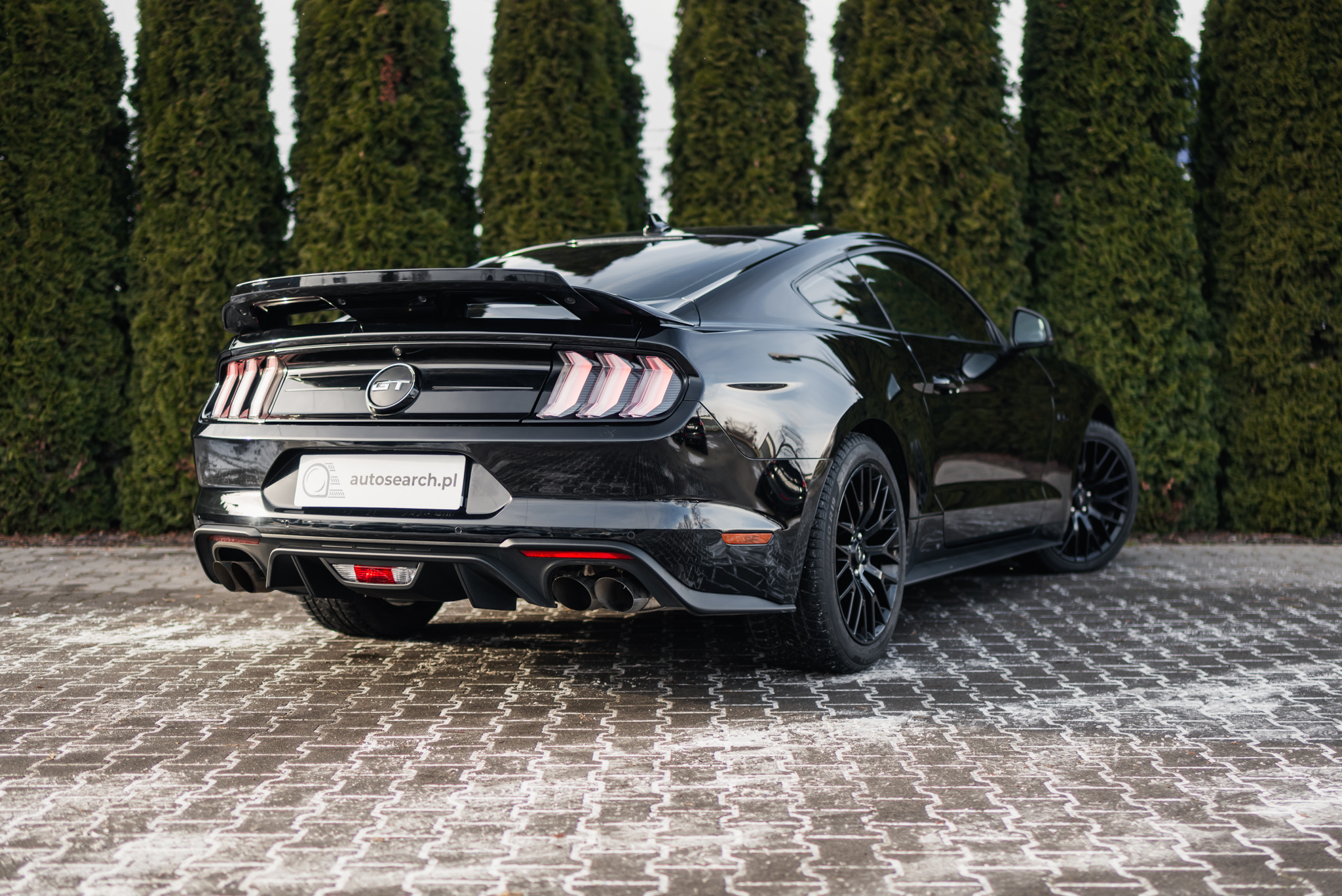 ford-mustang-gt-fl-black-2020-4