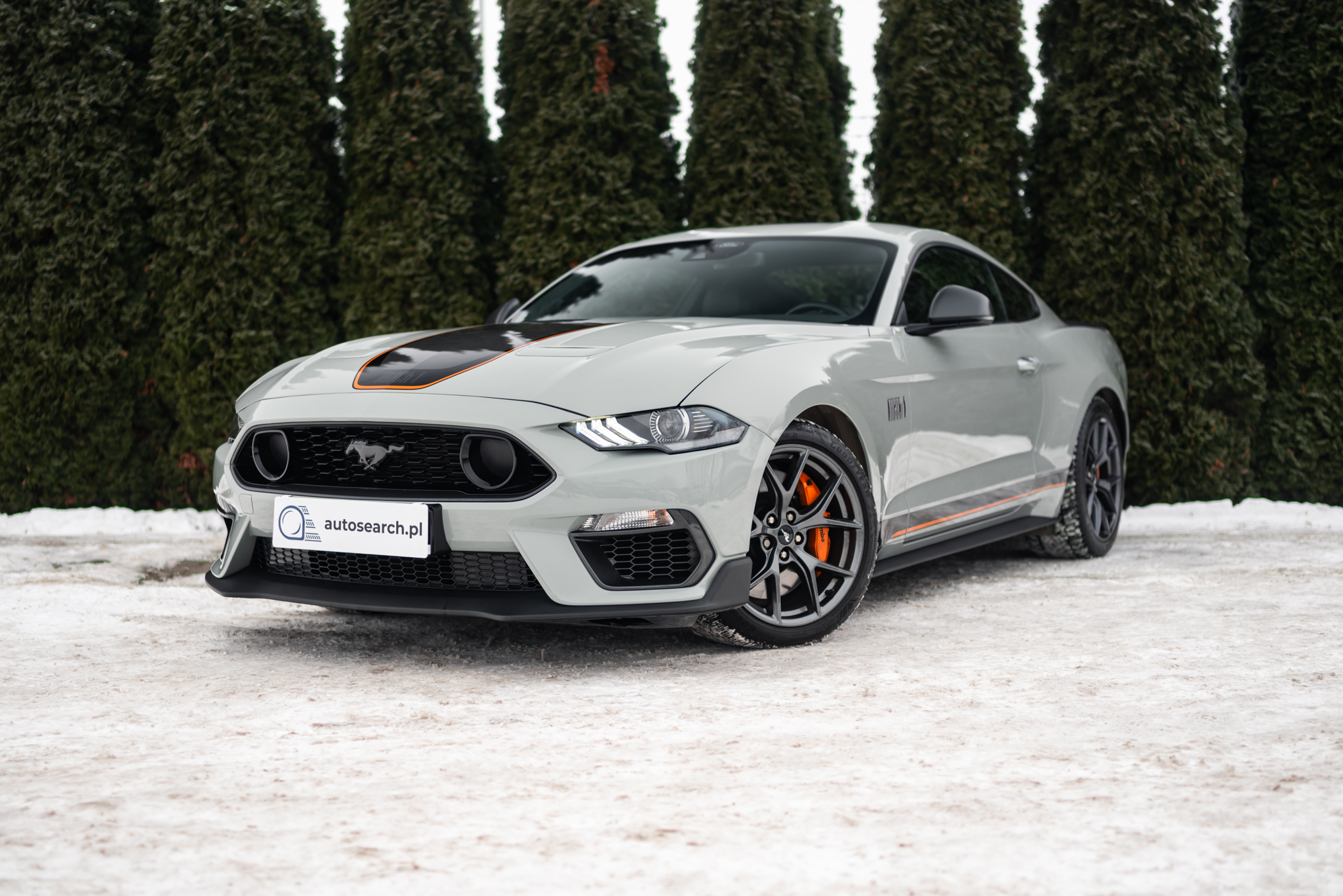 ford-mustang-mach-1-fighter-jet-grey-2023-1