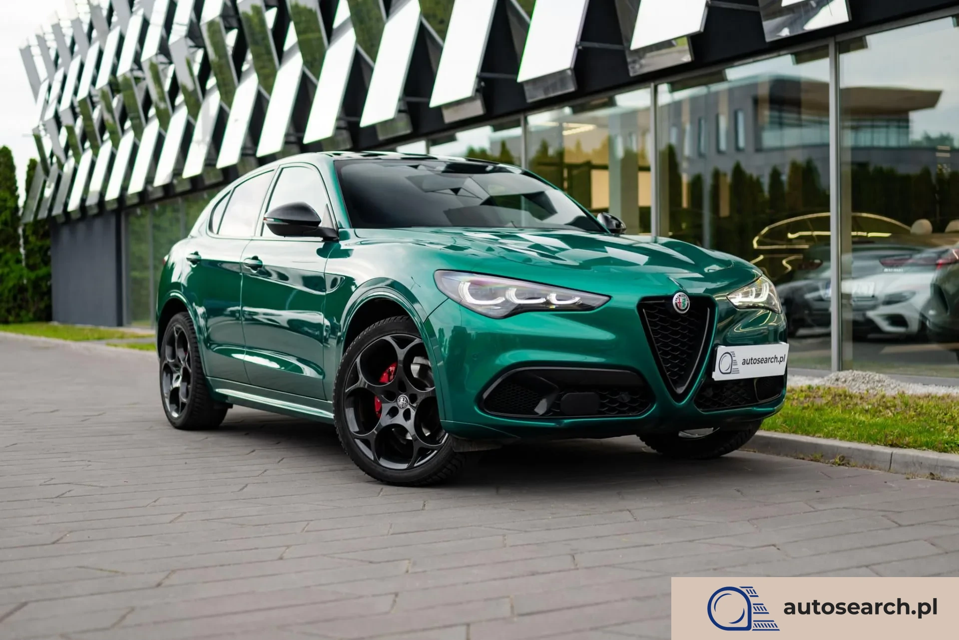 Alfa Romeo Stelvio Alfa-Romeo Stelvio 2.0 Tributo Italiano