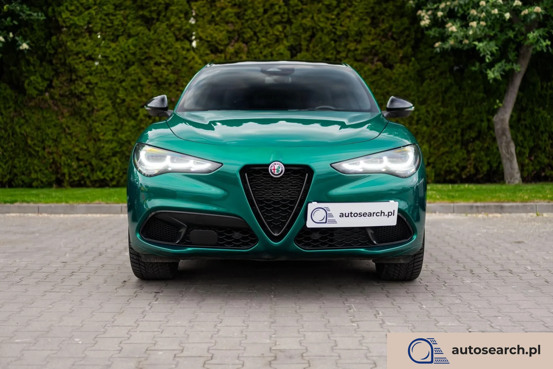 Alfa Romeo Stelvio Alfa-Romeo Stelvio 2.0 Tributo Italiano