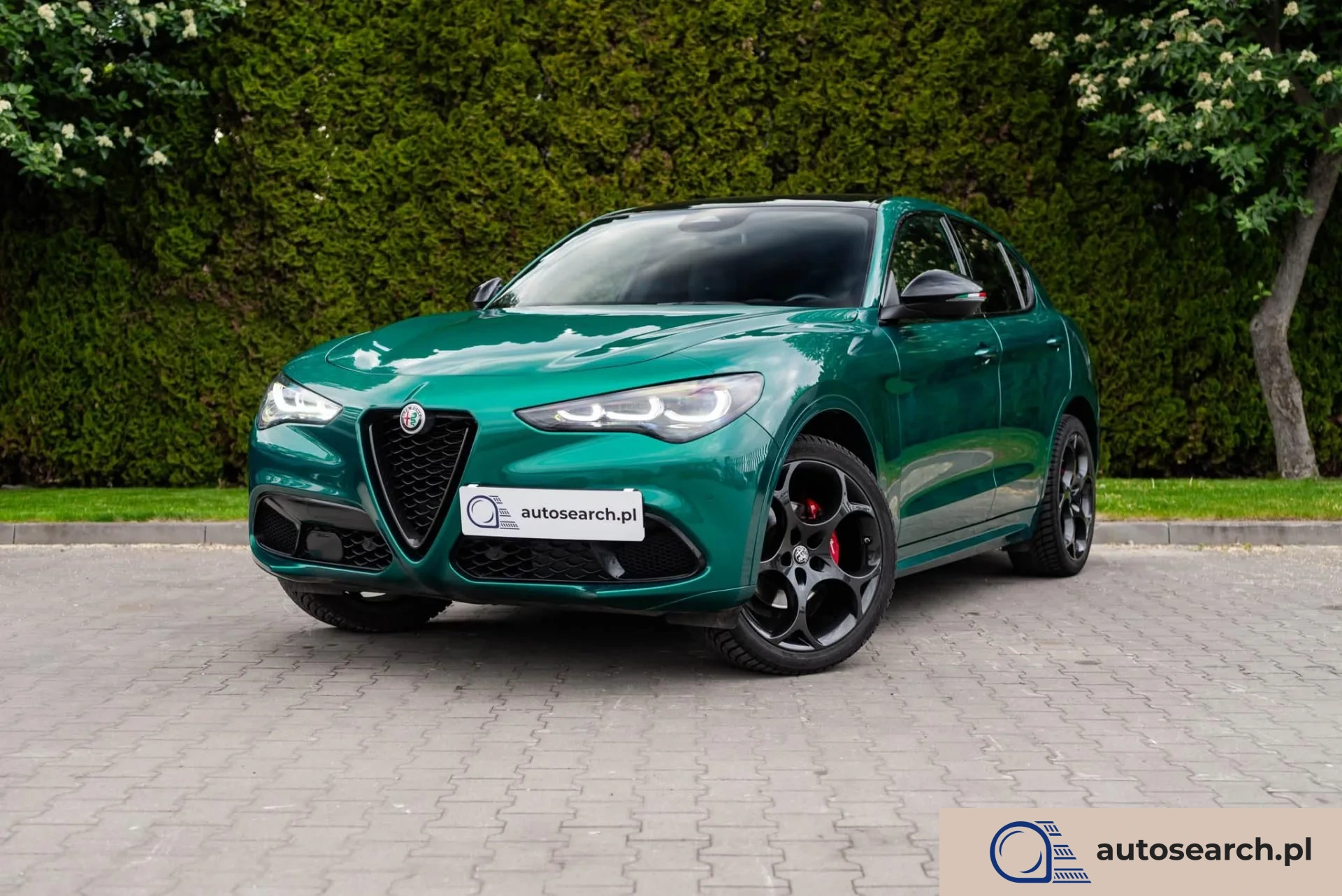 Alfa Romeo Stelvio Alfa-Romeo Stelvio 2.0 Tributo Italiano