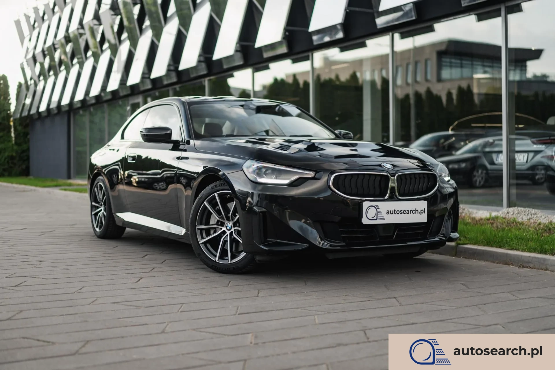 BMW Seria 2 Advantage Steptronic