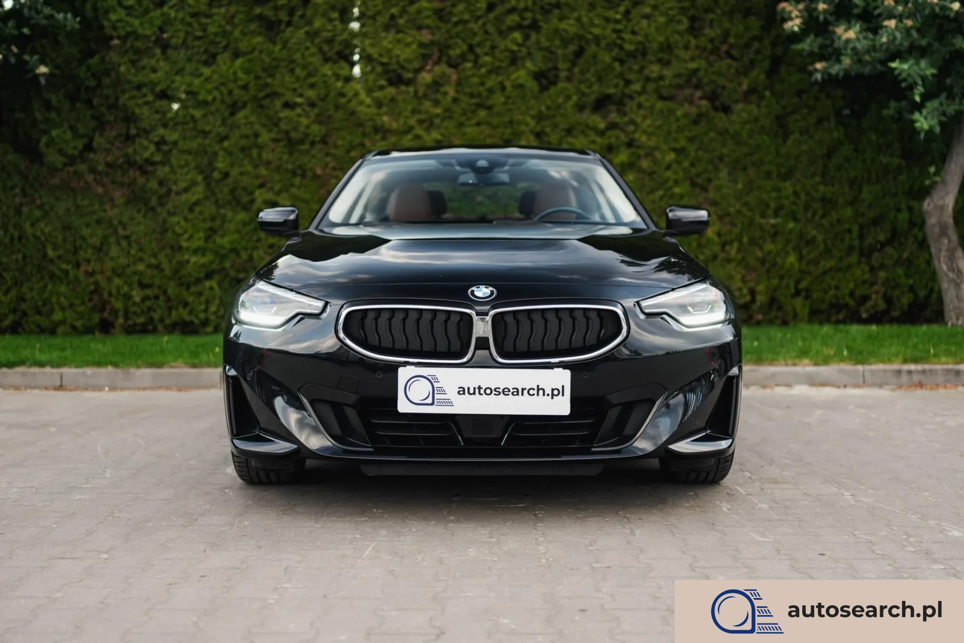BMW Seria 2 Advantage Steptronic