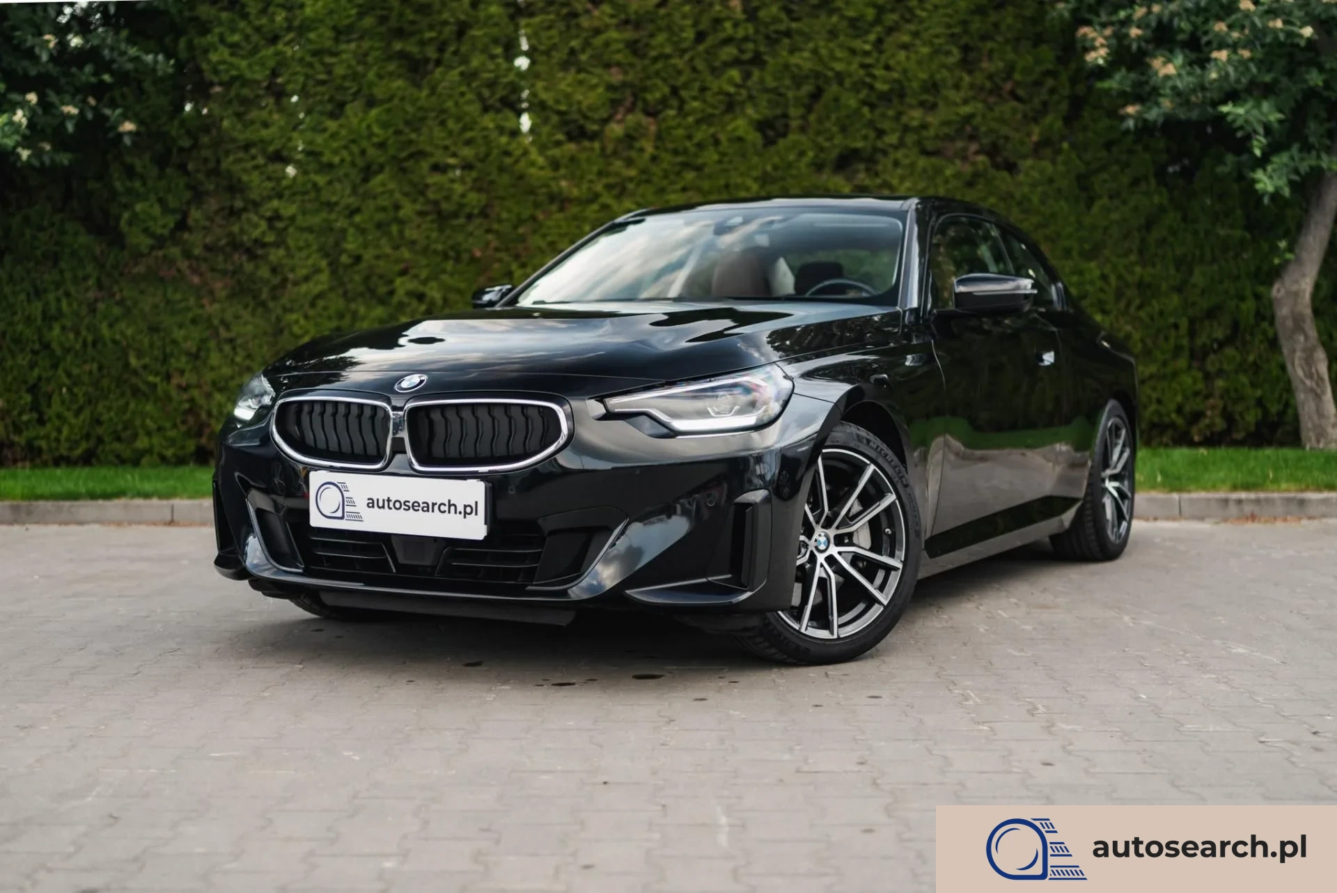 BMW Seria 2 Advantage Steptronic