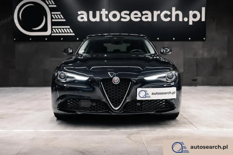Alfa Romeo Giulia 2.0 Turbo Business