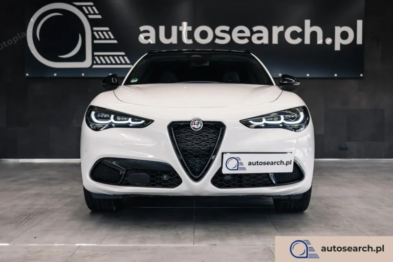 Alfa Romeo Stelvio 2.0 Turbo Q4 Tributo Italiano