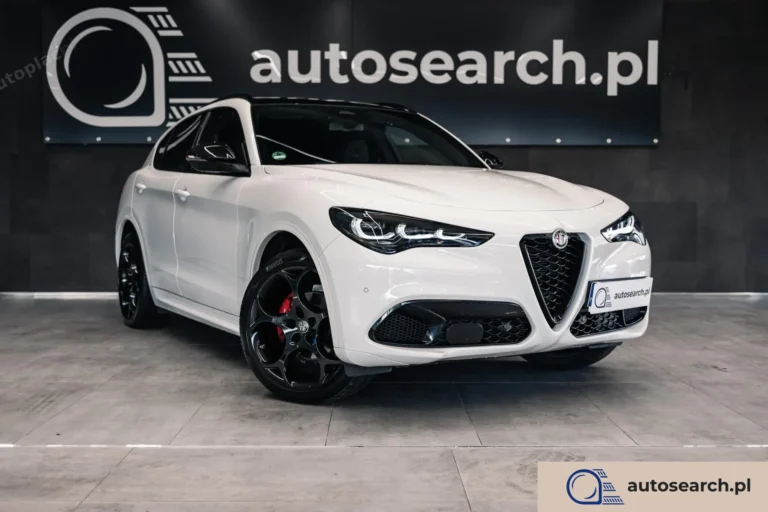 Alfa Romeo Stelvio 2.0 Turbo Q4 Tributo Italiano